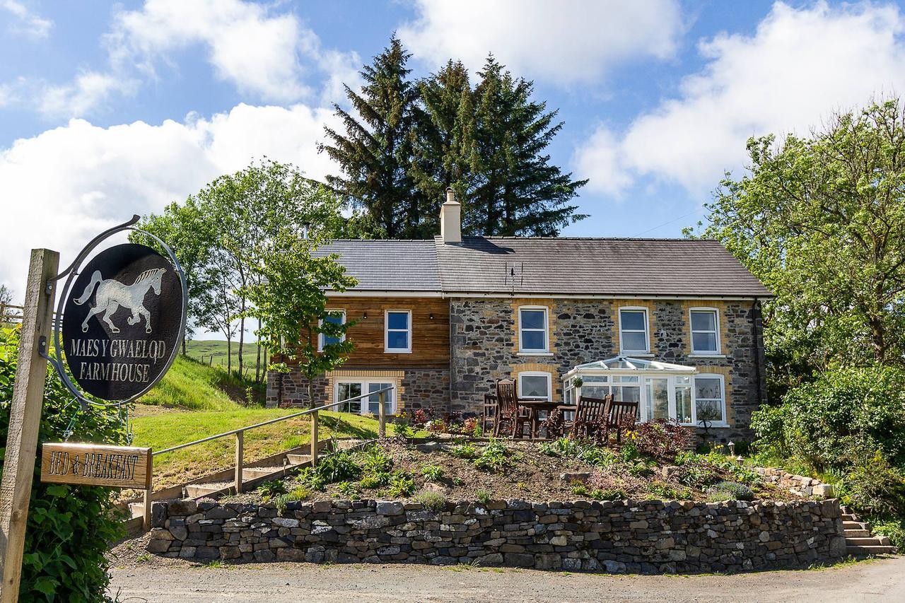 Maes Y Gwaelod Bed and Breakfast Llanwrtyd Wells Eksteriør billede